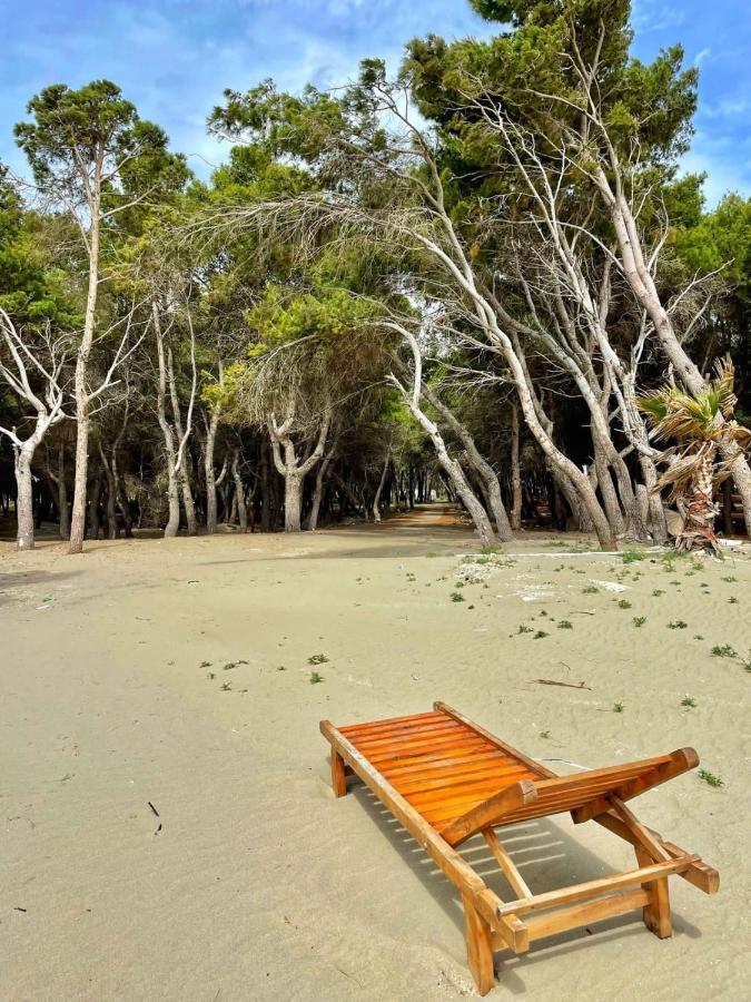Villa Roel 1 Apartments Nr 88 Vlora Kültér fotó