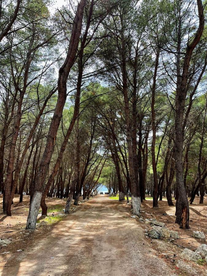 Villa Roel 1 Apartments Nr 88 Vlora Kültér fotó